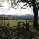 The gate and stile and the bottom of Caer Wood