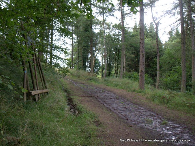 Point 5: Path crosses logging track