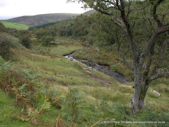 Point 7: Afon Grwyne Fechan - Picnic spot