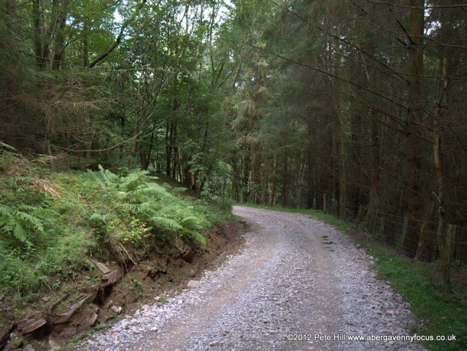 Point 9: Road passes through woods.