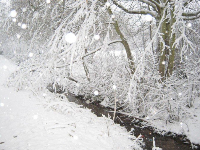 Snowy scene in Crickhowell - Courtesy of Jane Reynolds
