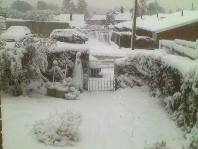 this am in Abergavenny - by M Watkins