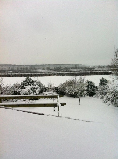 The Snow in Wiltshire