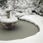 The Pond at Focus HQ - by Pete Hill