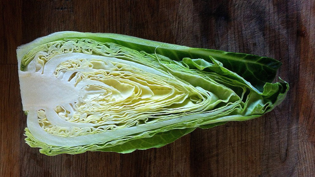 Pointed Cabbage with Dill & Peas Focus Magazines