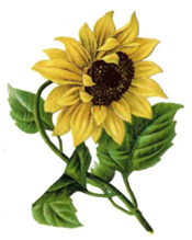 Christchurch Govilon, Merthyr Rd. NP7 9PT